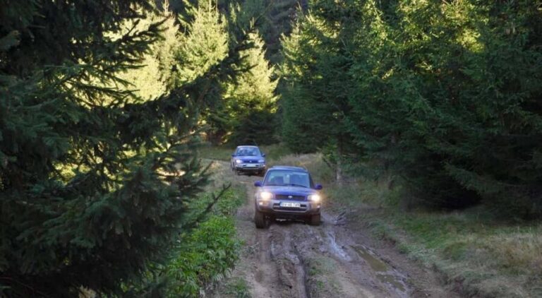 From Bucharest: Off-Road in the Carpathian Mountains - Vehicles and Pricing