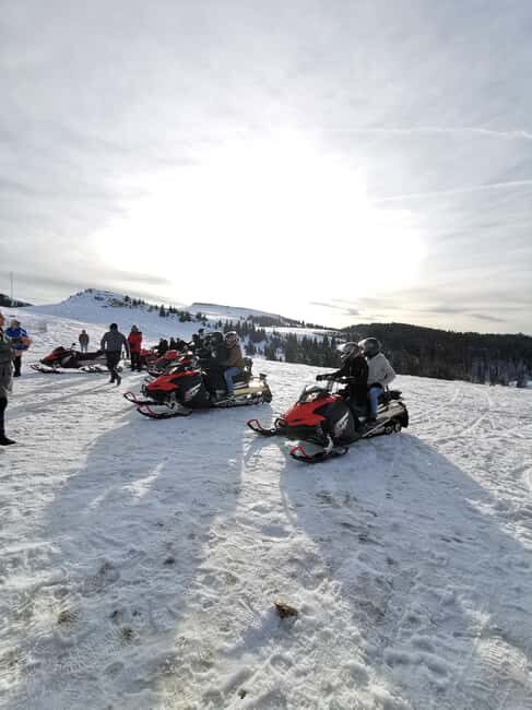 From Bucharest: Snowmobile Tour in the Carpathian Mountains - Who Will Love This Tour?