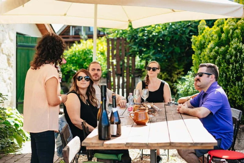 From Budapest: Etyek Wine Tasting Tour with 3-Course Meal - The Journey Begins: Pickup and Introduction