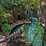 From Cancun: Complete Combo to Xcaret Park! - Detailed Breakdown of the Itinerary and Attractions