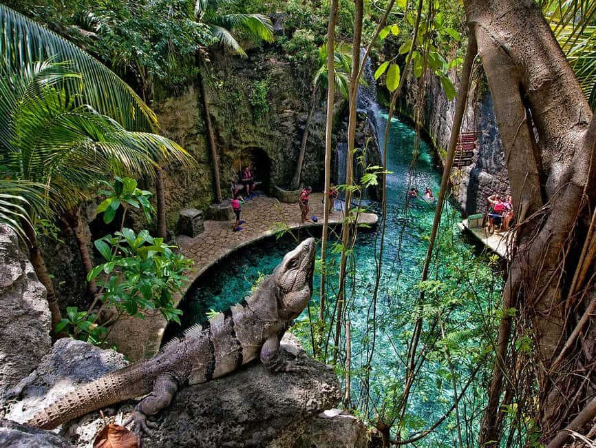 From Cancun: Complete Combo to Xcaret Park! - Detailed Breakdown of the Itinerary and Attractions