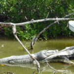 From Cancun: Kantemó Snake Cavern Adventure - The Practical Details