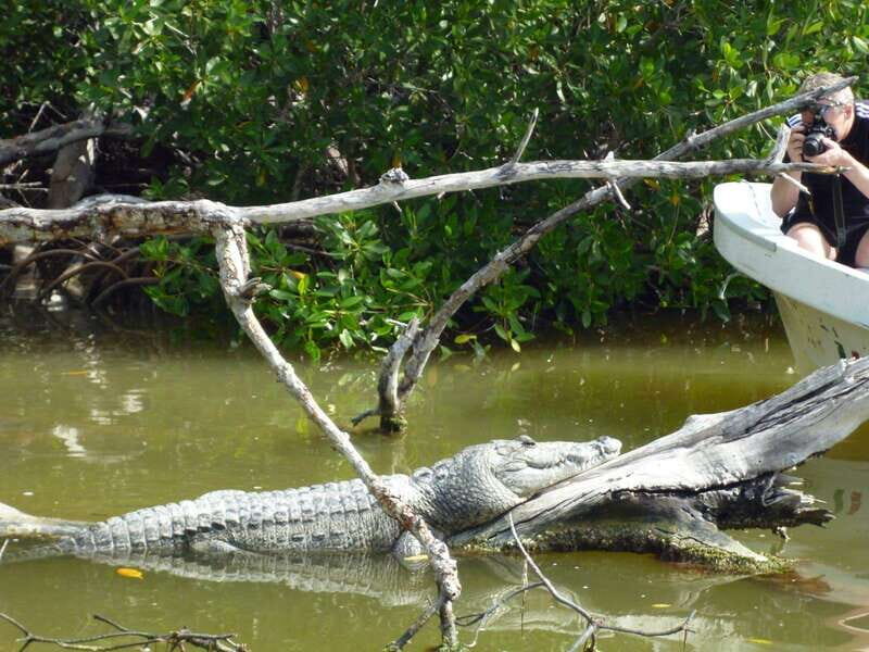 From Cancun: Kantemó Snake Cavern Adventure - The Practical Details