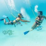 From Cancun: Xcaret Park All-Inclusive - In-Depth Look at the Itinerary