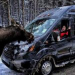 From Canmore Moraine Lake and Lake Louise Sightseeing - The Sum Up: Who Will Benefit Most?