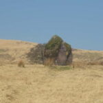 From Cardiff: Brecon Beacons Waterfall Walking Tour - Who Will Love This Tour?