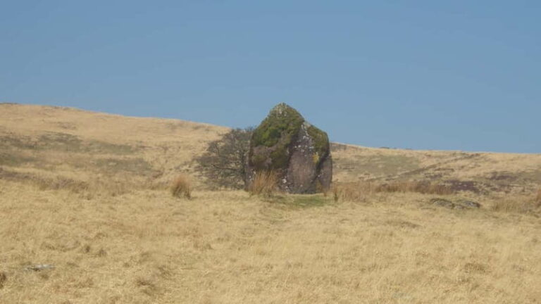 From Cardiff: Brecon Beacons Waterfall Walking Tour - Who Will Love This Tour?