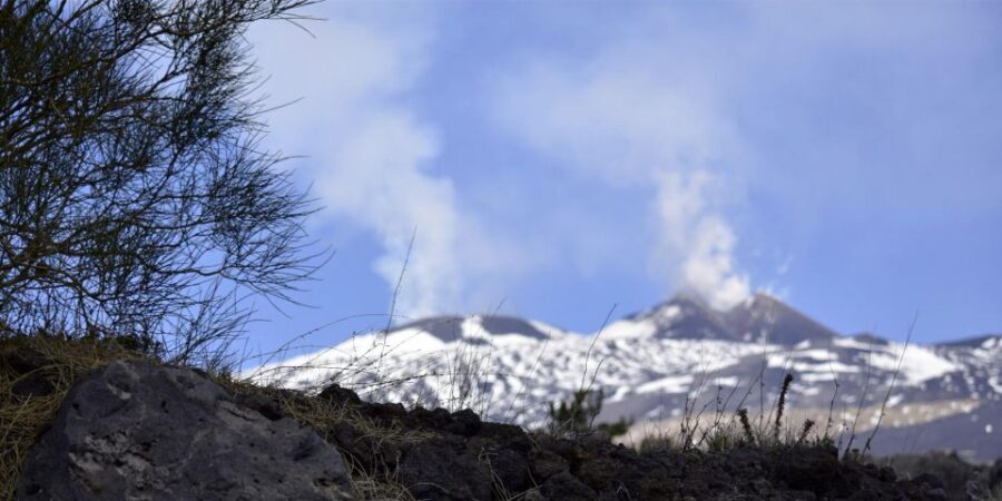 From Catania: Mount Etna Volcano, Lava Caves & Flavors Tour - Authentic Experiences and Honest Value