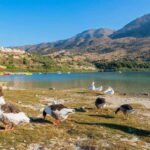 From Chania: Lake Kournas & Argiroupoli Springs Guided Tour - Starting with Lake Kournas: Crete’s Largest Natural Lake