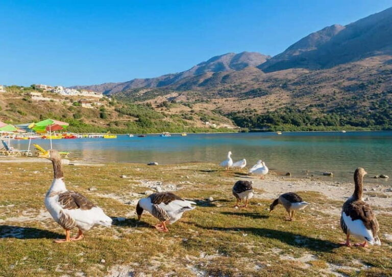 From Chania: Lake Kournas & Argiroupoli Springs Guided Tour - Starting with Lake Kournas: Crete’s Largest Natural Lake