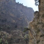 From Chania: Samaria Gorge Hike with Local Mountain Guide - The Practical Details