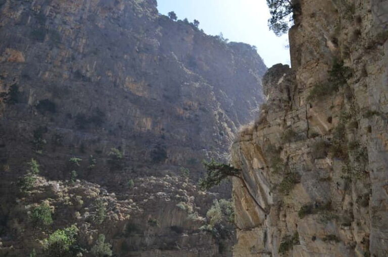 From Chania: Samaria Gorge Hike with Local Mountain Guide - The Practical Details