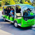 From Chisinau: visit Cricova and Milestii Mici Wineries - What to Expect from the Tour