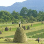 From Cluj-Napoca: Maramure 3-Day Tour with Accommodation - A Deep Dive into the Maramure Experience