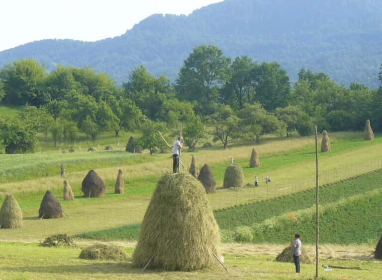 From Cluj-Napoca: Maramure 3-Day Tour with Accommodation - A Deep Dive into the Maramure Experience