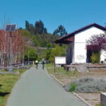 From Coimbra: Cycling on the Dão Ecotrail - In-Depth Breakdown of the Experience