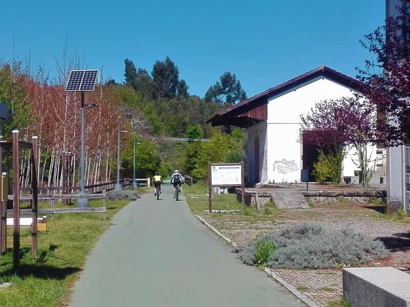 From Coimbra: Cycling on the Dão Ecotrail - In-Depth Breakdown of the Experience