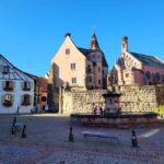 From Colmar: Alsace wine route tour Half Day - The Practical Aspects: Transportation, Cost, and Flexibility