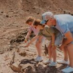 From Corralejo: North authentic experience - small group (max 6 people) - In-Depth Look at the Itinerary