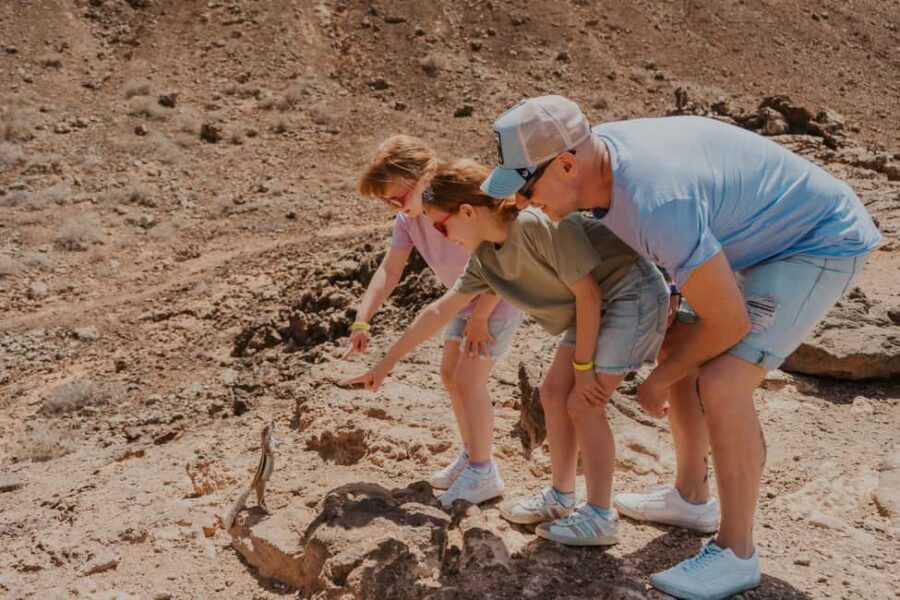 From Corralejo: North authentic experience - small group (max 6 people) - In-Depth Look at the Itinerary