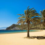 From Costa Adeje or Santa Cruz: Contrasts of Tenerife Tour - Practical Details and Value