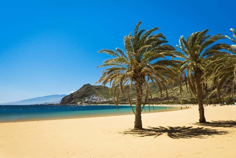 From Costa Adeje or Santa Cruz: Contrasts of Tenerife Tour - Practical Details and Value