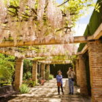 From Costa del Sol: Granada Full-Day Tour - The Tour Variations: What Works Best for You