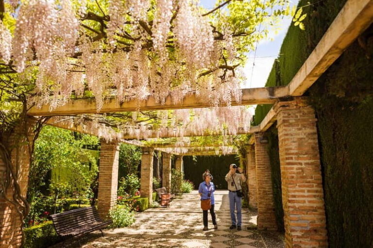 From Costa del Sol: Granada Full-Day Tour - The Tour Variations: What Works Best for You