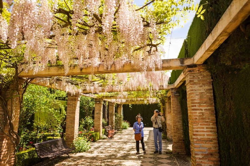 From Costa del Sol: Granada Full-Day Tour - The Tour Variations: What Works Best for You