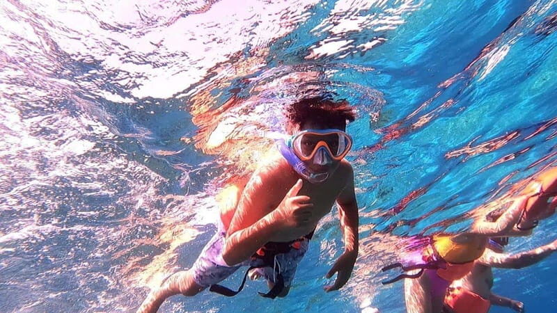 From Cozumel: Official Chankanaab Park Day Pass and Snorkel - The Itinerary Breakdown