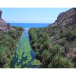 From Crete: Kourtaliotiko Gorge & Preveli Tour - Who Will Love This Tour?