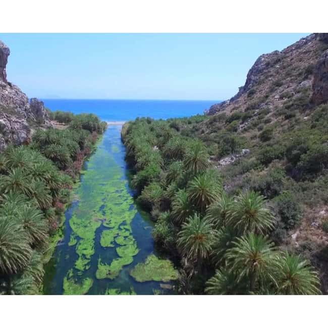 From Crete: Kourtaliotiko Gorge & Preveli Tour - Who Will Love This Tour?