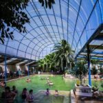 From Denver: Small Group Mount Evans & Hot Springs Day Tour - Authentic Insights from the Tour Experience