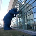 From Denver:Small Group 7-Day Rocky Mountain and Denver Tour - Rocky Mountain National Park Highlights