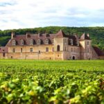From Dijon: Côte de Nuits Wine-Tasting Tour - The Experience in Context: What You Get for $129