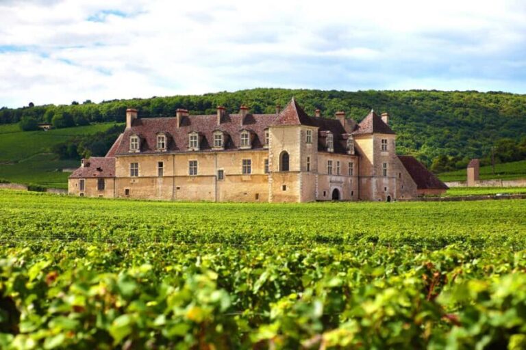 From Dijon: Côte de Nuits Wine-Tasting Tour - The Experience in Context: What You Get for $129