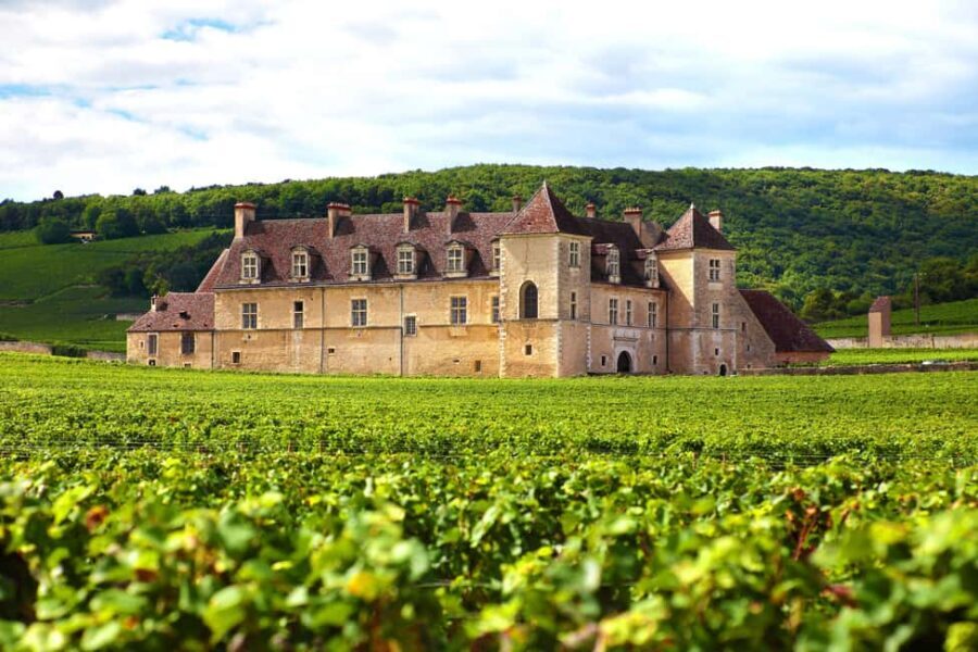 From Dijon: Côte de Nuits Wine-Tasting Tour - The Experience in Context: What You Get for $129