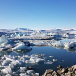 From Djúpivogur: Glacier Lagoon & Diamond Beach Day Trip - Is It Worth the Price?
