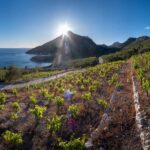 From Dubrovnik: Private Peljeac Wine Region and Ston Tour - Exploring the Scenic Peljeac Peninsula