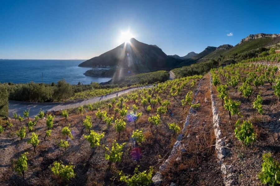 From Dubrovnik: Private Peljeac Wine Region and Ston Tour - Exploring the Scenic Peljeac Peninsula