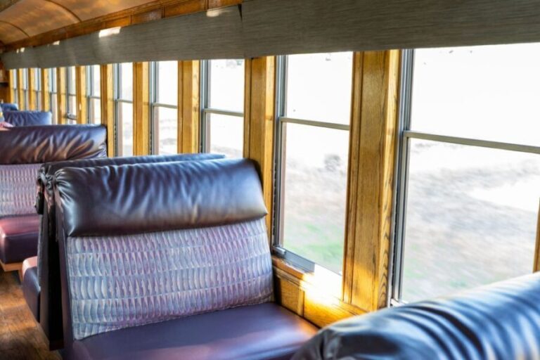 From Durango: All-Day Zipline Adventure with Train & Lunch - Who Is This Tour Best For?