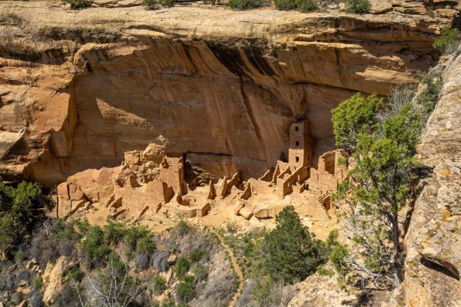 From Durango: Mesa Verde Express Tour & Cliff Palace Ticket - Value for Money