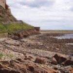 From Edinburgh: Viking Coast & Alnwick Castle Day Tour - The Practical Side: What Travelers Need to Know