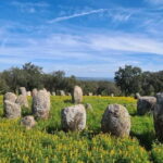 From Evora: Prehistoric Monuments and City Tour - Why This Tour Offers Real Value