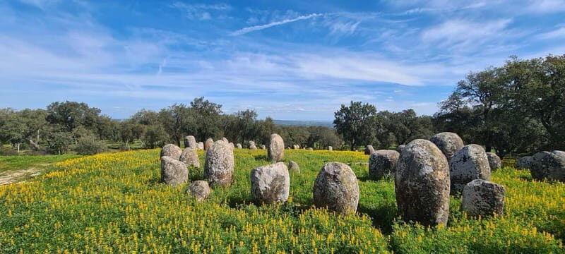 From Evora: Prehistoric Monuments and City Tour - Why This Tour Offers Real Value