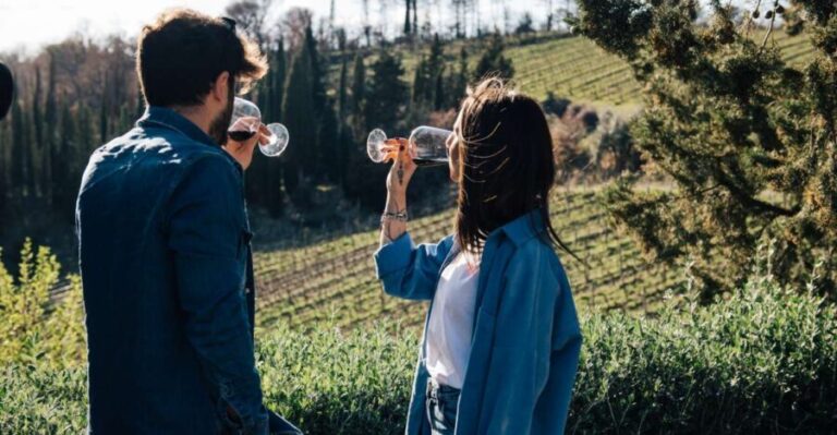 From Florence: Chianti Hills Half-Day Tour with Wine Tasting - Who Should Choose This Tour?