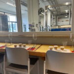 From Florence: Olive Oil Mill Tour and Tasting in Fiesole - What Reviewers Say