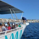 From Fornells: North Coast Beaches Cruise with Swim Stops - Setting Sail from Fornells: What to Expect