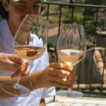 From Fréjus: Van tour to the heart of the Provençal vineyards - The Transport and Group Size