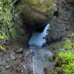 From Funchal: Advanced Canyoning Experience in Madeira - Authentic Insights from Participants